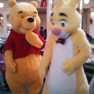 ディズニーランド好きな方居ませんか？(о´∀`о)