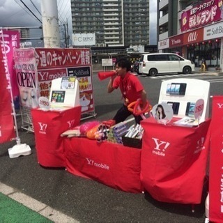 【追加募集❗️】【埼玉在住のかた大歓迎🌟】サンプリングスタッフの画像