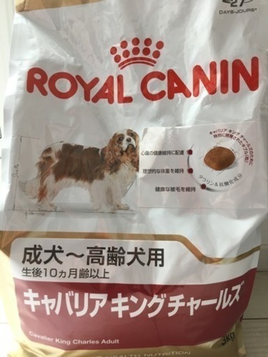 ロイヤルカナン(キャバリア)