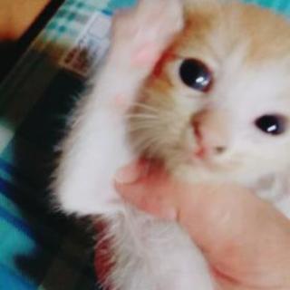 7月22日に生まれた赤ちゃん