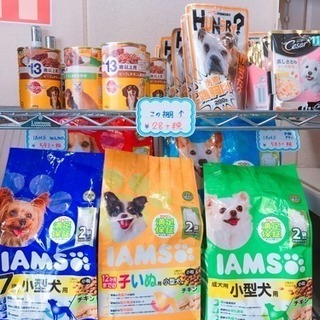 おはようございます！ペット用品店です！
