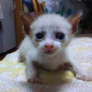 7月末生まれです。