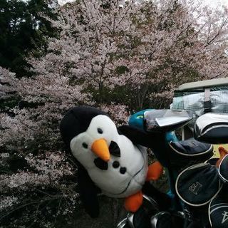 ★ラウンドレッスン 3,000円　の画像