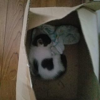 ハートマークがチャームポイント