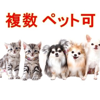 祝成約★更に値下げ★戸建て★ペット複数OK！　DIYもOK！　是...