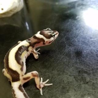 趣味が合う人