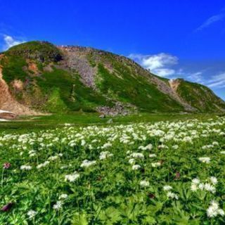 関東発ハイキング山仲間