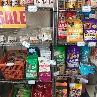 🌺残暑SALE🌺