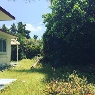 日給10,000‼️草むしり・草あつめスタッフ大募集‼️の画像