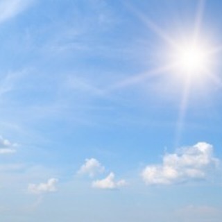 日給10,000‼️草むしり・草あつめスタッフ大募集‼️の画像