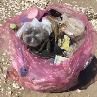 9月9日（土）８時〜海岸のプラスチックゴミ拾い - ボランティア