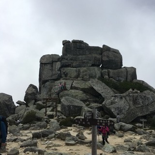 山仲間募集