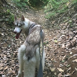 アウトドアに興味のある医療スタッフを募集します‼︎