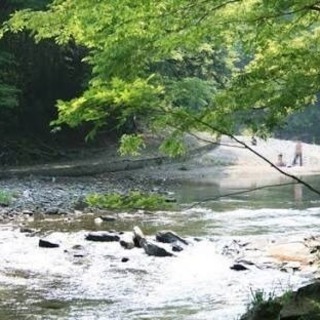 埼玉 嵐山 BBQ 9月3日日曜です！ - 葛飾区