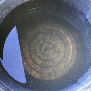 井戸用ポンプ譲って下さい − 愛知県