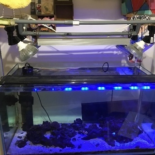 海水用品一式の画像