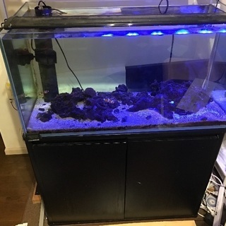 海水用品一式の画像