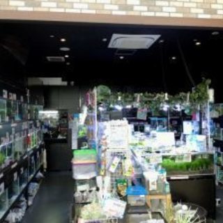 東京都北区ホームセンター内アクア小動物コーナー生体スタッフ募集の画像