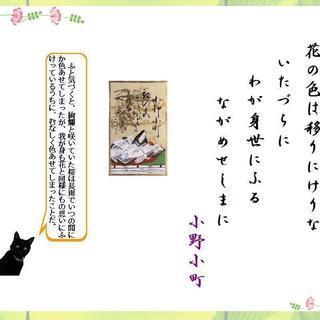 ～♪～　私的アンソロジー、すなわちマイ・アンソロジー作りのお手伝い致します。マイ・ポエム、ミュージック、マイ・アート。基本的に、お気に入りのもの、興味のある分野は何でもマイ・アンソロジー化可能です。出来上がったマイ・アンソロジーを大切に育てていきましょう。日々の暮らしに小さな感動を！「我が家で芸術鑑賞」のお手伝い　～♪～の画像