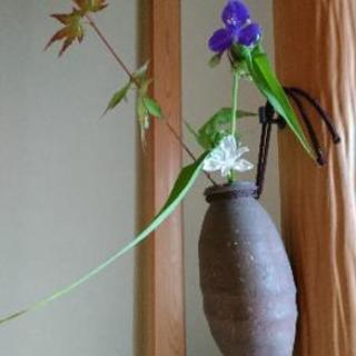 葛飾の茶道教室です