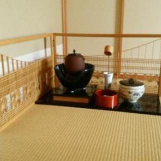 葛飾の茶道教室ですの画像