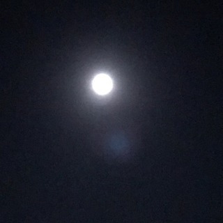 星を一緒に観ませんか？