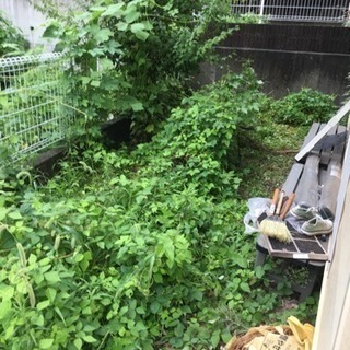 草刈り 伐採 抜根します！😊
