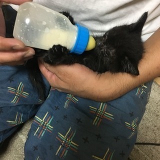 大切に飼ってくださる方