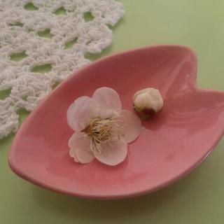 今年こそ！着物でお花見🌸美しく着る着付け個人レッスンの画像