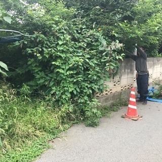 庭の手入れ お任せを。【所沢市 狭山市 川越市 入間市 さいたま...