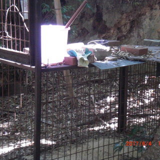 有害鳥獣被害対策、イノシシ駆除の為、農地、山林の設置場所を探しておりますの画像