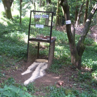 有害鳥獣被害対策、イノシシ駆除の為、農地、山林の設置場所を探しております - その他