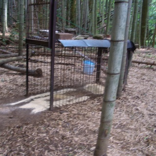 有害鳥獣被害対策、イノシシ駆除の為、農地、山林の設置場所を探しております - 地元のお店
