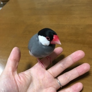 子なし主婦友達募集！