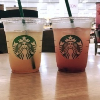 お茶急募☕️