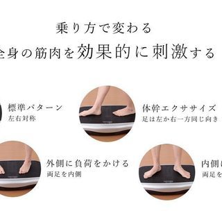 ブルブルフィットネスマシーン　ライフフィットトレーナー　筋トレ　有酸素運動　バランス運動　数回使用の美品　の画像