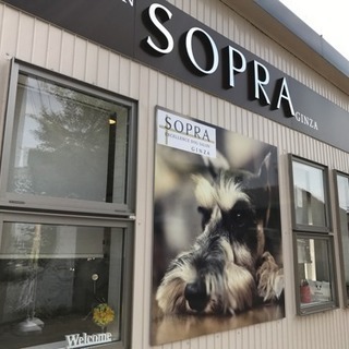 SOPRA銀座 川島インター店でトリマー募集