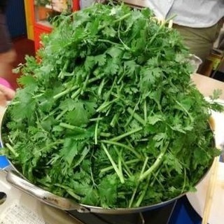パクチー好き集まれ🌿