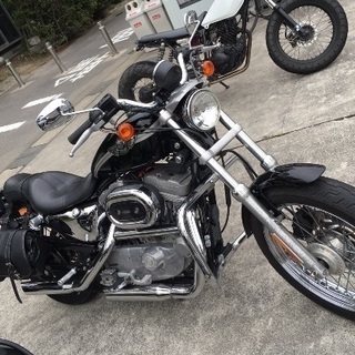 平日バイク仲間募集！！