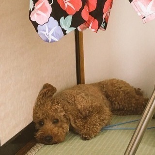 友達。