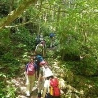 山登り友達募集
