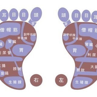 【体験講座は半額/締切直前】痛スッキリでデトックス！手と足のセル...