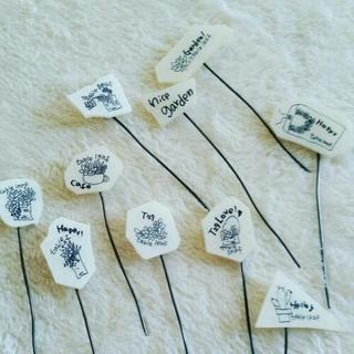 多肉苔玉workshop　の画像