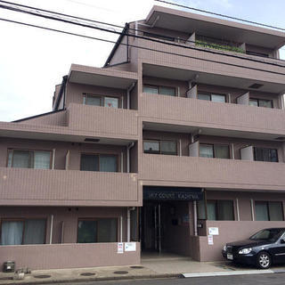 🉐初期費用5万円🙂北柏駅徒歩4分✌️家賃35000円の格安マンション♪
