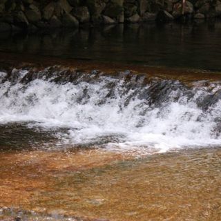 土日祝に気軽に一緒に写真撮りに行きませんか？ - 倉敷市