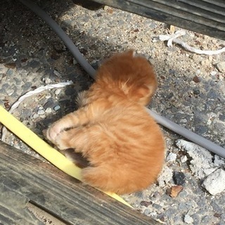 浦安の工場にいました
