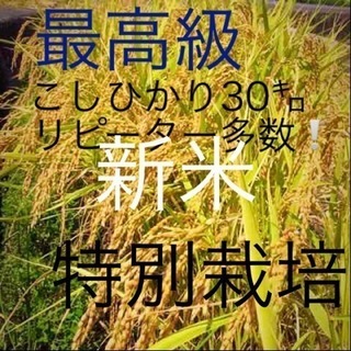 新米　こだわり栽培 愛媛県東温市こしひかり30㌔玄米