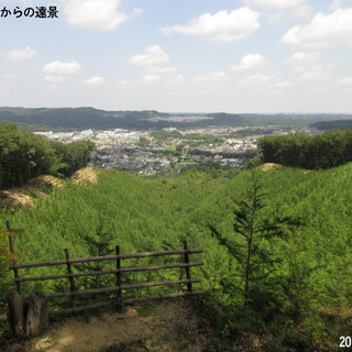 高尾山の喧騒に飽きたら■戦国時代の史跡と自然を同時に満喫『八王子城1000人隊』 - 八王子市