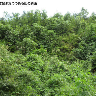 高尾山の喧騒に飽きたら■戦国時代の史跡と自然を同時に満喫『八王子城1000人隊』 − 東京都