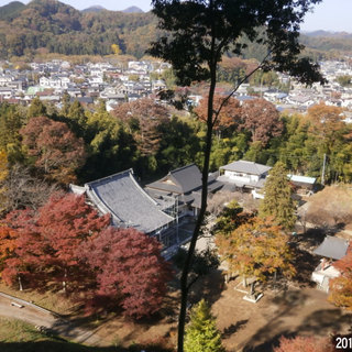 高尾山の喧騒に飽きたら■戦国時代の史跡と自然を同時に満喫『八王子城1000人隊』 - メンバー募集